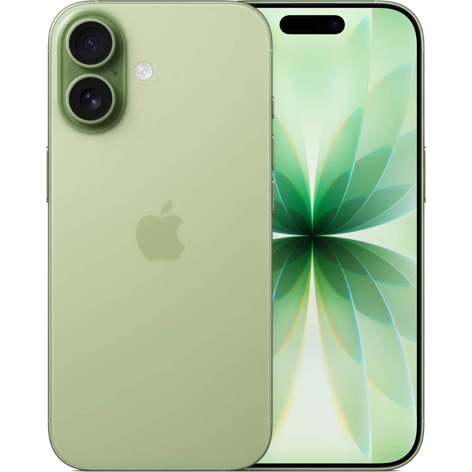 iPhone 18